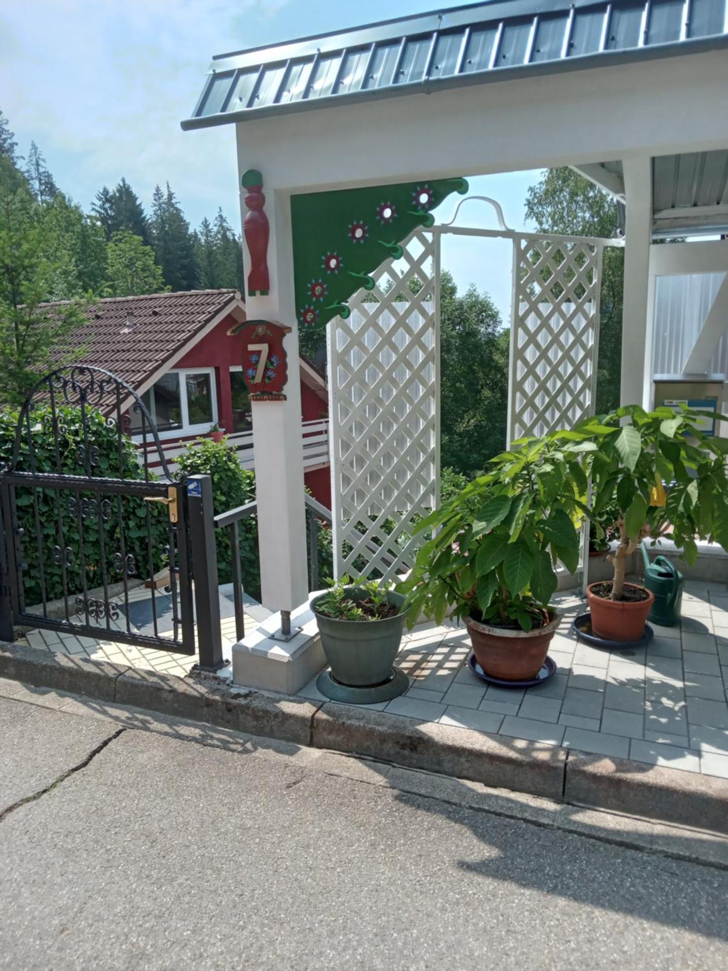 Haus Wiesental Kleines Wiesental Ngoại thất bức ảnh
