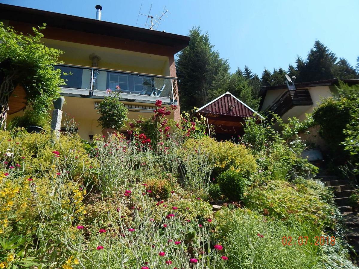 Haus Wiesental Kleines Wiesental Ngoại thất bức ảnh