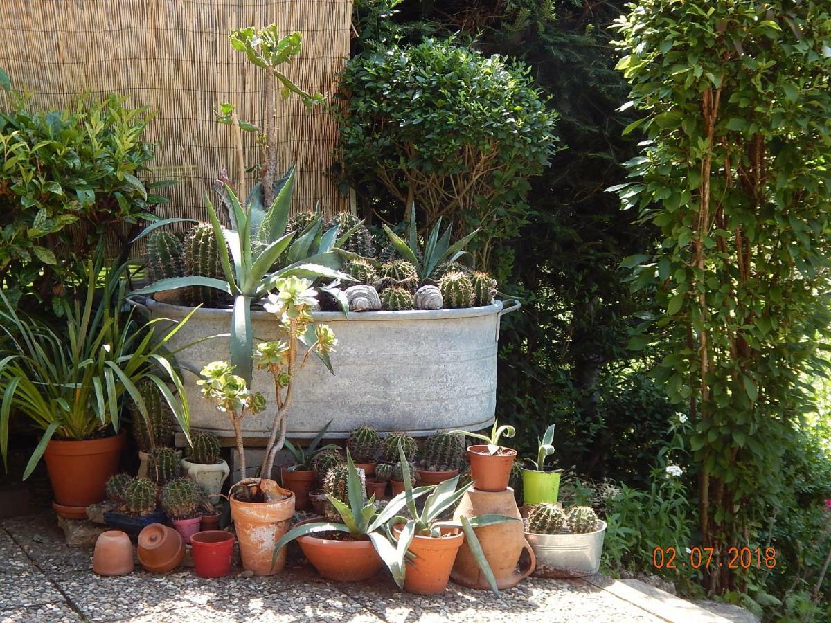 Haus Wiesental Kleines Wiesental Ngoại thất bức ảnh